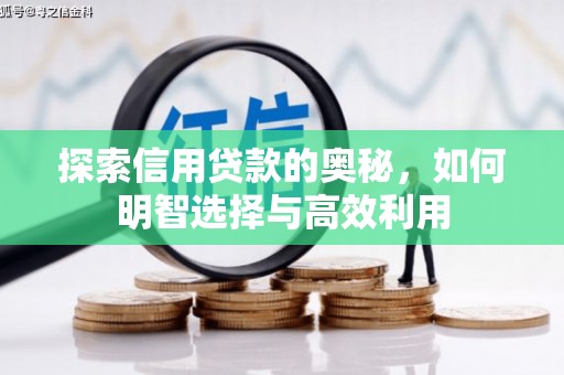 湖州探索信用贷款的奥秘，如何明智选择与高效利用