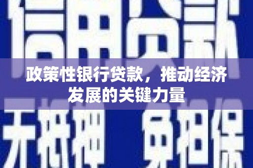 湖州政策性银行贷款，推动经济发展的关键力量