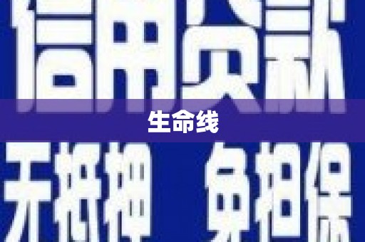湖州生命线