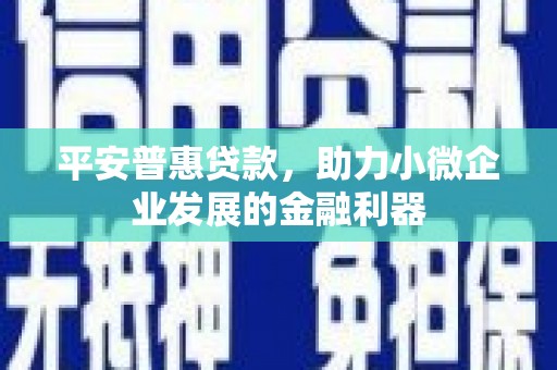 湖州平安普惠贷款，助力小微企业发展的金融利器