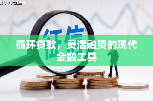 湖州循环贷款，灵活融资的现代金融工具