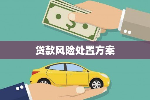 湖州贷款风险处置方案