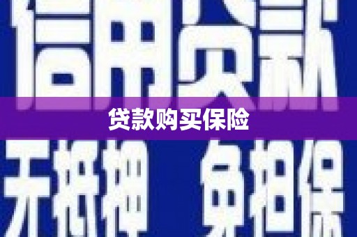 湖州贷款购买保险