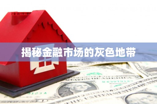 湖州揭秘金融市场的灰色地带